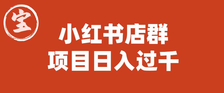 【副业项目6268期】宝哥小红书店群项目，日入过千（图文教程）【揭秘】-荔枝网络
