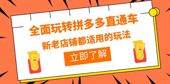 【副业项目6359期】全面玩转拼多多直通车,新老店铺都适用的玩法(12节精华课)-荔枝网络