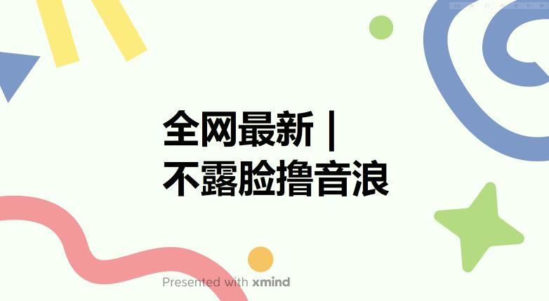 【副业项目6074期】全网最新不露脸撸音浪，跑通自动化成交闭环，实现出单+收徒收益最大化【揭秘】-荔枝网络
