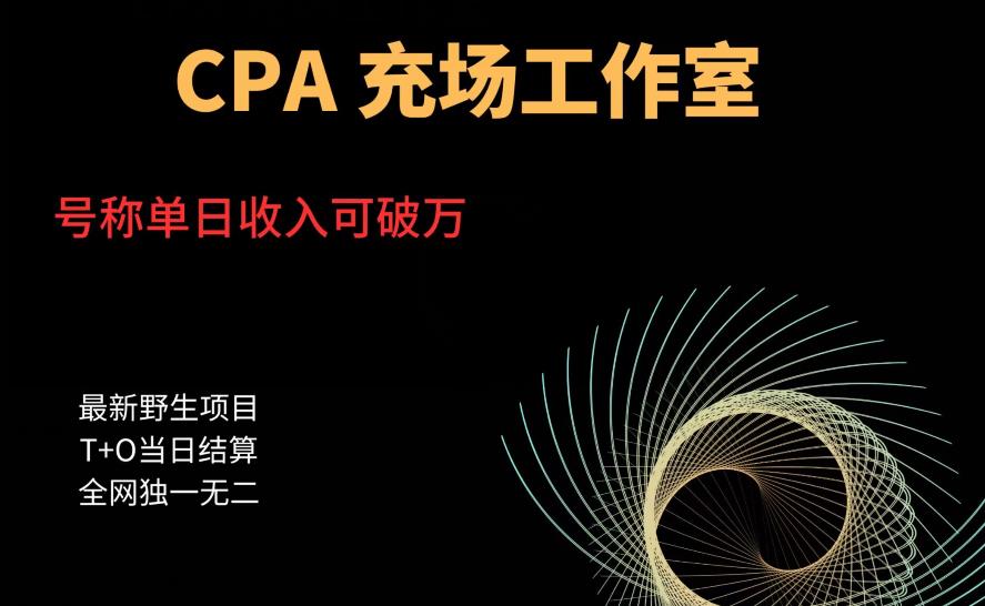 【副业项目6075期】cpa充场工作室，号称单日收入10000+（揭秘）-荔枝网络