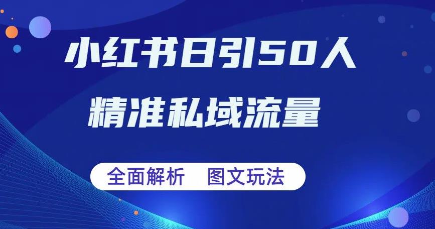【副业项目6772期】全面解析小红书图文引流日引50私域流量【揭秘】-荔枝网络