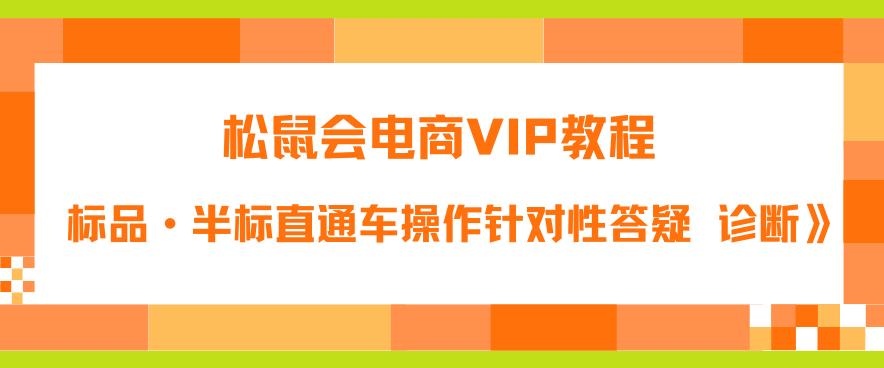 【副业项目6373期】松鼠会电商VIP教程：松鼠《付费推广标品·半标直通车操作针对性答疑&诊断》-荔枝网络