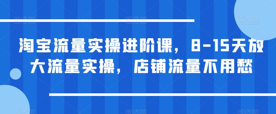 【副业项目6415期】淘宝流量实操进阶课，8-15天放大流量实操，店铺流量不用愁-荔枝网络