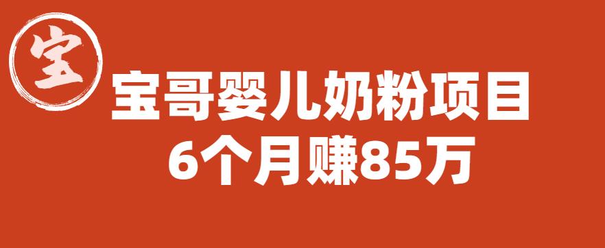 【副业项目6416期】宝哥婴儿奶粉项目，6个月赚85w【图文非视频】【揭秘】-荔枝网络