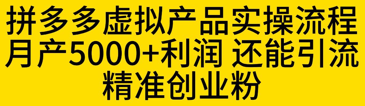 【副业项目6569期】拼多多虚拟产品实操流程，月产5000+利润，还能引流精准创业粉-荔枝网络