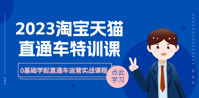 【副业项目6489期】2023淘宝·天猫直通车评特训课，0基础学起直通车运营实战课程（8节课时）-荔枝网络