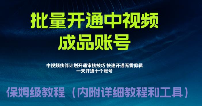 【副业项目6718期】外面收费1980暴力开通中视频计划教程，附 快速通过中视频伙伴计划的办法-荔枝网络
