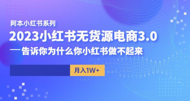 【副业项目6506期】阿本小红书无货源电商3.0，告诉你为什么你小红书做不起来-荔枝网络