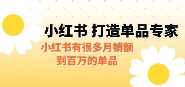 【副业项目6703期】某公众号付费文章《小红书打造单品专家》小红书有很多月销额到百万的单品-荔枝网络