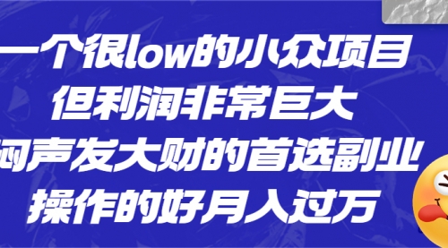 【副业项目6782期】一个很low的小众项目，但利润非常巨大，闷声发大财的首选副业，月入过万-荔枝网络