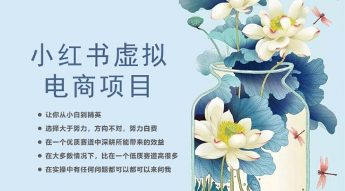 【副业项目6786期】小红书虚拟电商从0到1，让你从小白到精英（20节实操课程）-荔枝网络