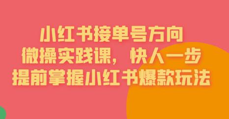 【副业项目6820期】接单号方向·小红书微操实践课，快人一步，提前掌握小红书爆款玩法-荔枝网络