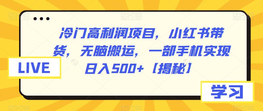 【副业项目6875期】冷门高利润项目，小红书带货，无脑搬运，一部手机实现日入500+【揭秘】-荔枝网络