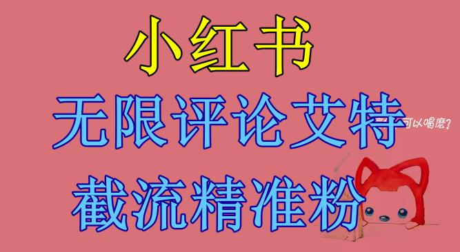 【副业项目6846期】小红书无限评论艾特截流精准粉（软件+教程）-荔枝网络