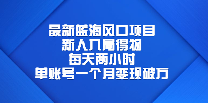 【副业项目6649期】最新蓝海风口项目,新人入局得物,每天两小时,单账号一个月变现破万-荔枝网络