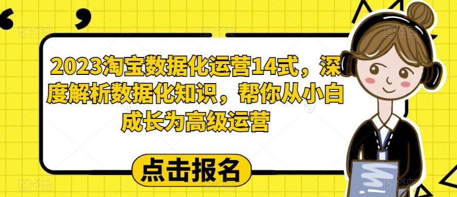 【副业项目6599期】2023淘宝数据化-运营 14式,深度解析数据化知识,帮你从小白成长为高级运营-荔枝网络
