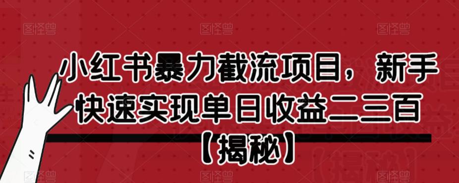 【副业项目6889期】小红书暴力截流项目，新手快速实现单日收益二三百【仅揭秘】-荔枝网络