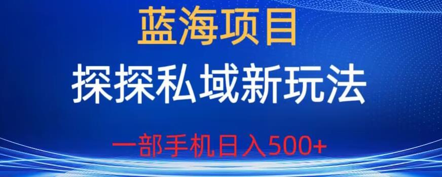 【副业项目6894期】蓝海项目，探探私域新玩法，一部手机日入500+很轻松【揭秘】-荔枝网络