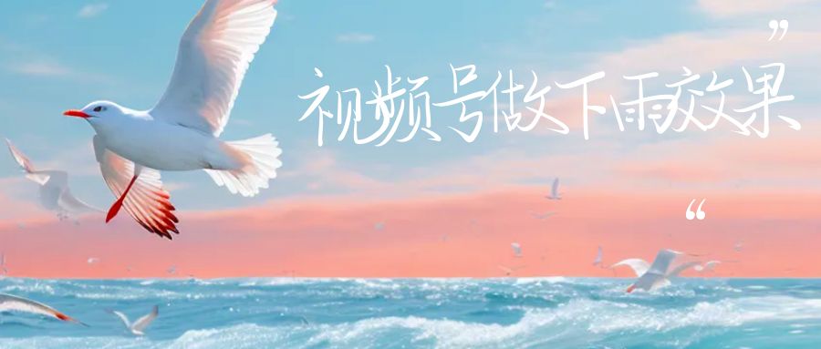 【副业项目6913期】视频号做下雨视频一个账号一周涨粉10W+年入100w-荔枝网络