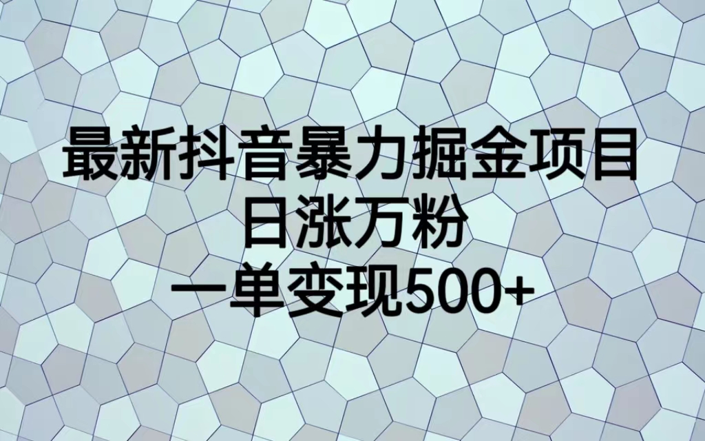 【副业项目6939期】最新抖音暴力掘金项目,日涨万粉,一单变现500+-荔枝网络
