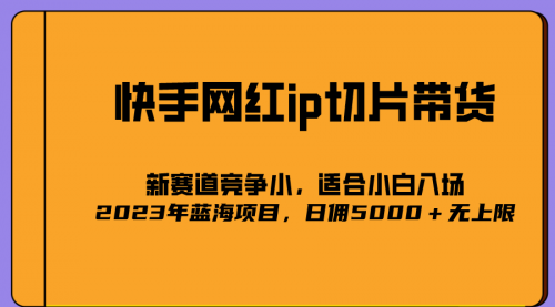 【副业项目7037期】2023爆火的快手网红IP切片，号称日佣5000＋的蓝海项目，二驴的独家授权-荔枝网络
