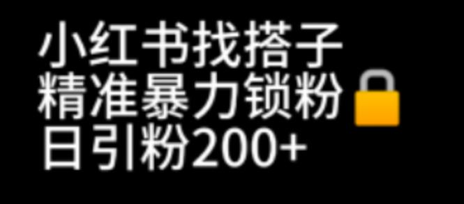 【副业项目7040期】小红书找搭子暴力精准锁粉+引流日引200+精准粉-荔枝网络