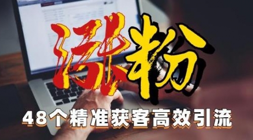【副业项目7097期】独家分享48个引流绝技，再没粉丝只能怪自己了！-荔枝网络