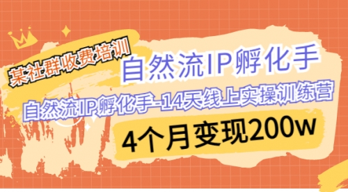 【副业项目7109期】自然流IP孵化手-14天线上实操训练营 4个月变现200w-荔枝网络