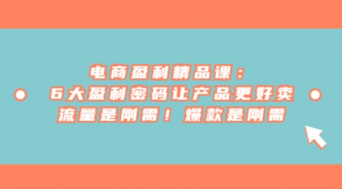 【副业项目7132期】电商盈利精品课：6大盈利，密码让产品更好卖，流量是刚需-荔枝网络