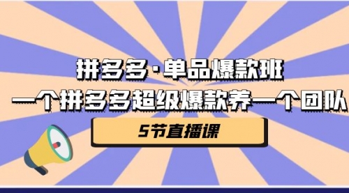 【副业项目第7171期】拼多多·单品爆款班，一个拼多多超级爆款养一个团队-荔枝网络