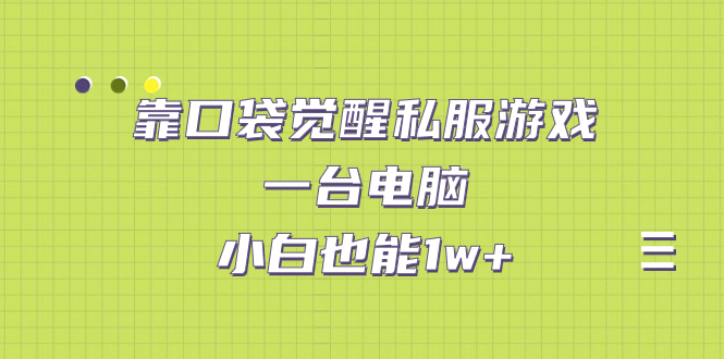 【副业项目7248期】靠口袋觉醒私服游戏，一台电脑，小白也能1w+（教程+工具+资料）-荔枝网络