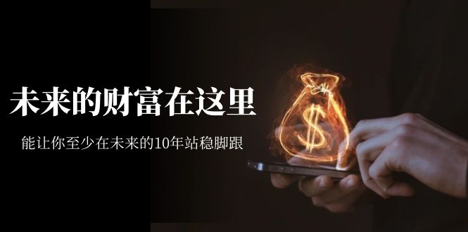 【副业项目7298期】某收费文章《未来的财富在这里》能让你至少在未来的10年站稳脚跟-荔枝网络
