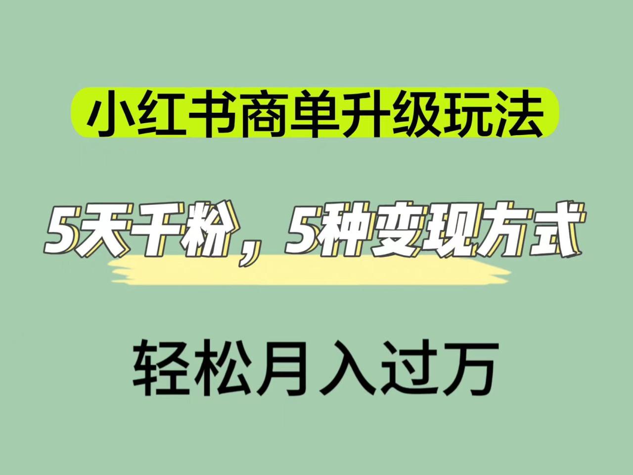 【副业项目7497期】小红书商单升级玩法,5天千粉,5种变现渠道,轻松月入1万+-荔枝网络