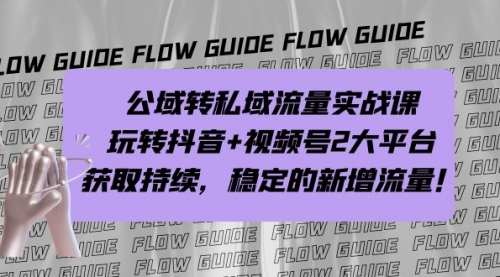【副业项目7222期】公域转私域流量实战课，玩转抖音+视频号2大平台，获取持续，稳定的新增流量-荔枝网络