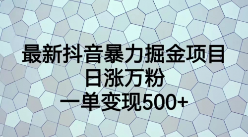 【副业项目7237期】抖音暴力掘金项目，日涨万粉，多种变现方式，一单变现可达500+-荔枝网络