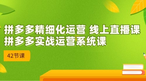 【副业项目7292期】2023年新课-拼多多精细化运营-荔枝网络