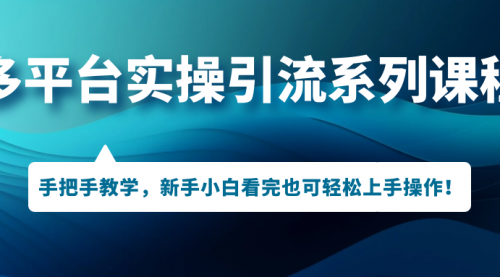 【副业项目7293期】多平台实操引流系列课程，手把手教学，新手小白看完也可轻松上手引流操作！-荔枝网络