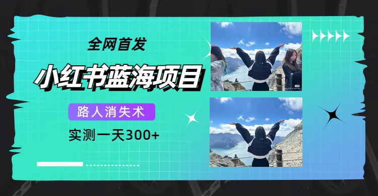 【副业项目7750期】全网首发,小红书蓝海项目,路人消失术,实测一天300+(教程+工具)-荔枝网络