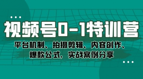 【副业项目7596期】视频号0-1特训营：平台机制、拍摄剪辑、内容创作、爆款公式，实战案例分享-荔枝网络