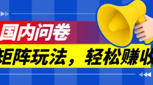 【副业项目7605期】保姆级教程，国内问卷矩阵玩法，轻松赚收益-荔枝网络