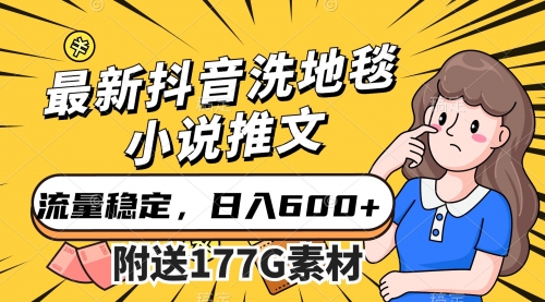 【副业项目7638期】最新抖音洗地毯小说推文，流量稳定，一天收入600（附177G素材）-荔枝网络