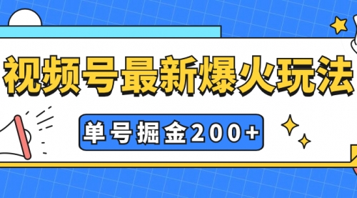 【副业项目7901期】视频号爆火新玩法,操作几分钟就可达到暴力掘金,单号收益200+小白式操作-荔枝网络