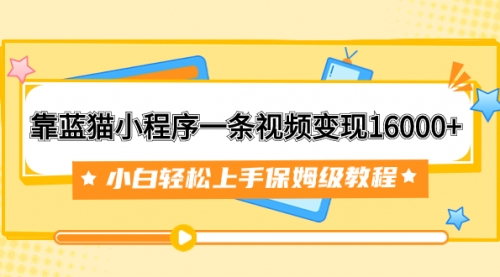 【副业项目7909期】靠蓝猫小程序一条视频变现16000+小白轻松上手保姆级教程（附166G资料素材）-荔枝网络