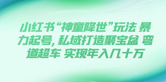 【副业项目7983期】小红书“神童降世”玩法 暴力起号,私域打造聚宝盆-荔枝网络