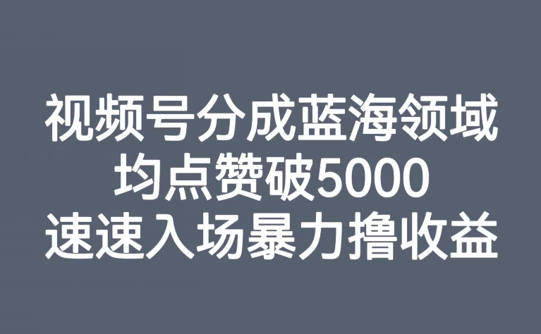 【副业项目8023期】视频号分成蓝海领域，均点赞破5000，速速入场暴力撸收益-荔枝网络