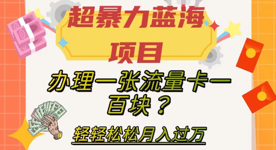 【副业项目8024期】超暴力蓝海项目，办理一张流量卡一百块？轻轻松松月入过万，保姆级教程【揭秘】-荔枝网络