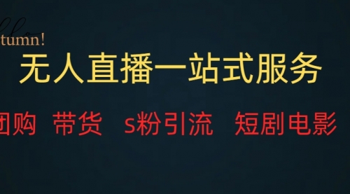 【副业项目7968期】无人直播全套服务，变现稳定-荔枝网络