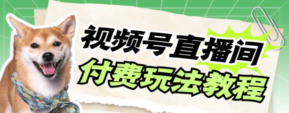 【副业项目7973期】视频号美女付费无人直播，轻松日入500+-荔枝网络