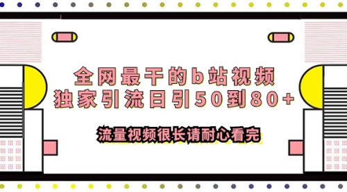 【副业项目8119期】全网最干的b站视频独家引流日引50到80+-荔枝网络