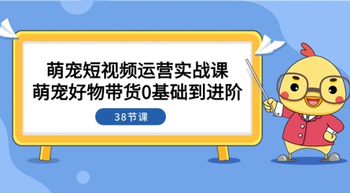 【副业项目8175期】萌宠·短视频运营实战课:萌宠好物带货0基础到进阶(38节课)-荔枝网络